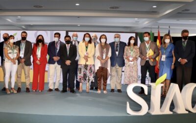 ¿Dónde está el excedente estructural de aceite cuando el consumo es mayor que la producción?