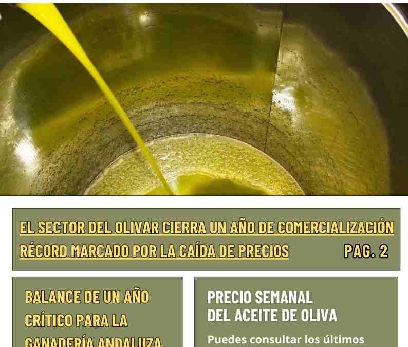 Boletín 262/ 2 enero 2026