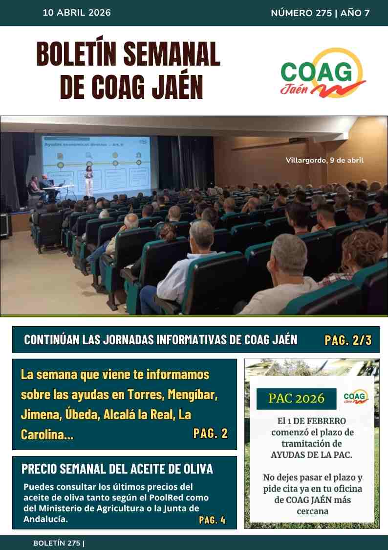 portada boletin 275