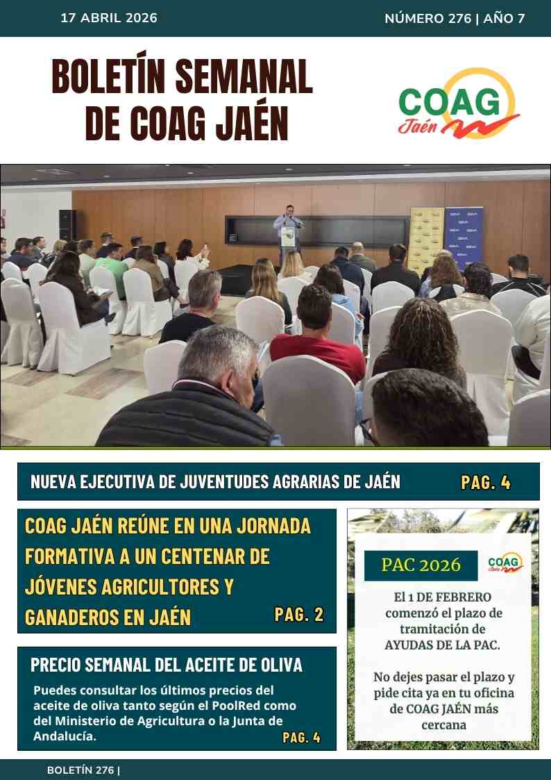 portada boletin 275