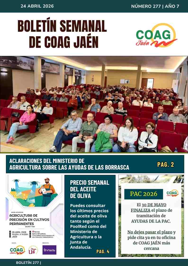 portada boletin 275