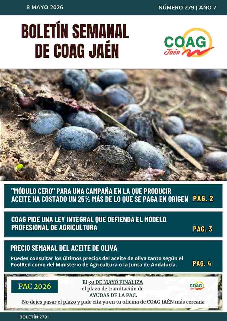portada boletin 275
