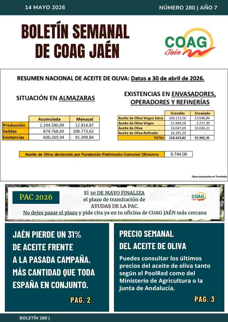 portada boletin 275
