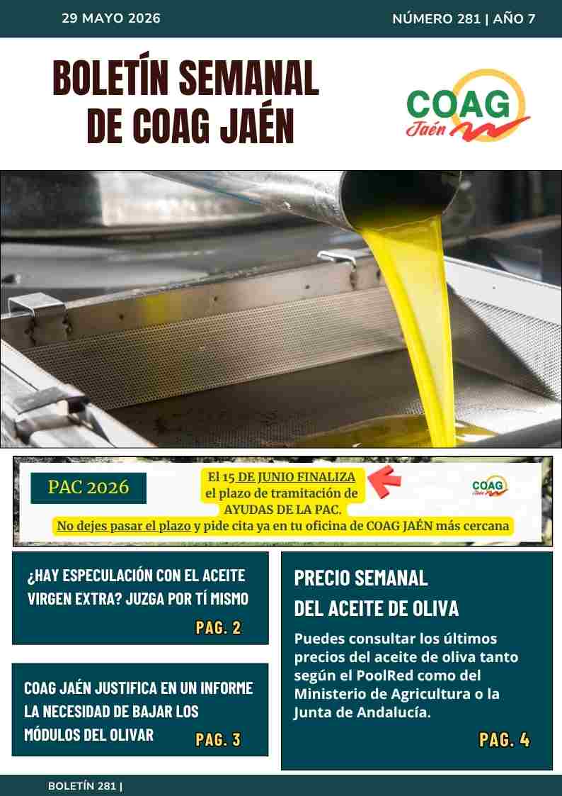 portada boletin 275