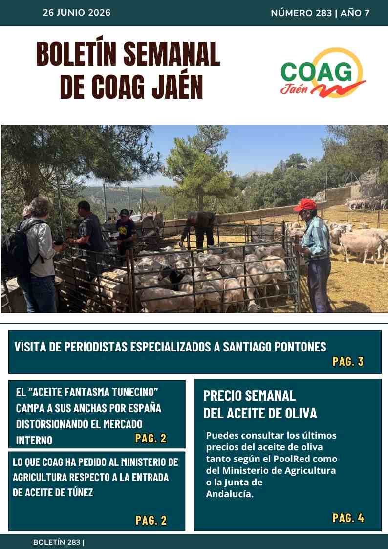 Boletín 283