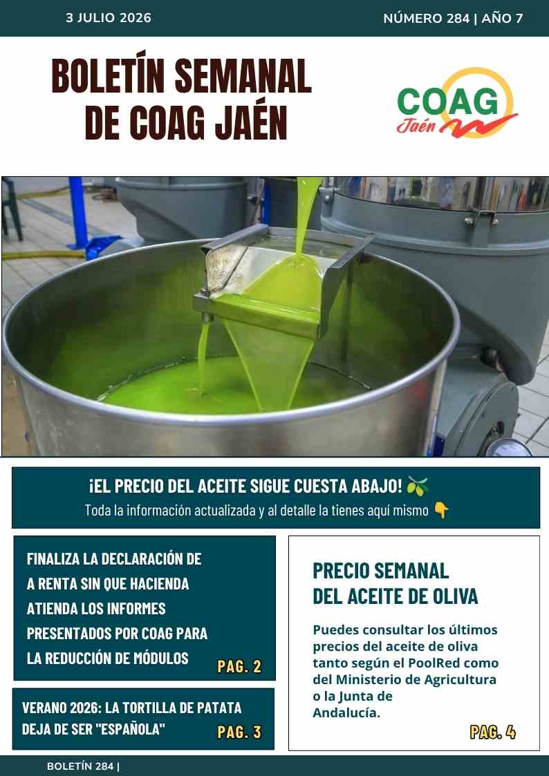 Boletín 284