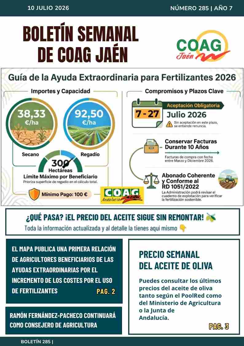 Boletín 284