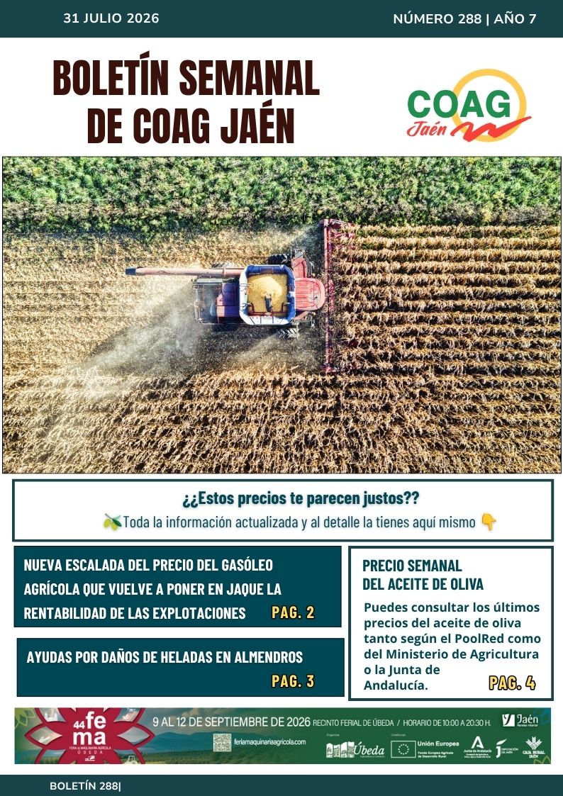 portada Boletín 288