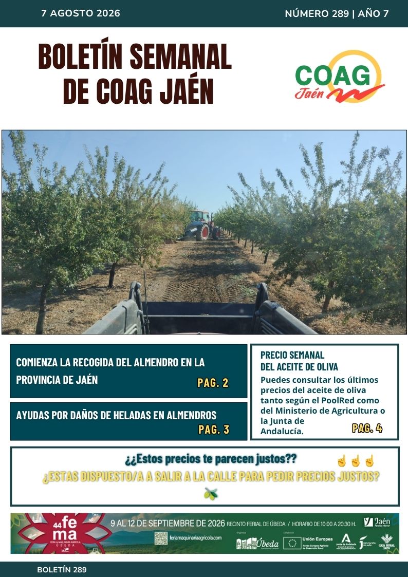 portada Boletín 288