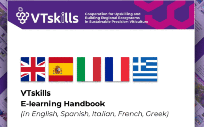 Manual de la plataforma de aprendizaje electrónico VTskills traducido a cinco idiomas