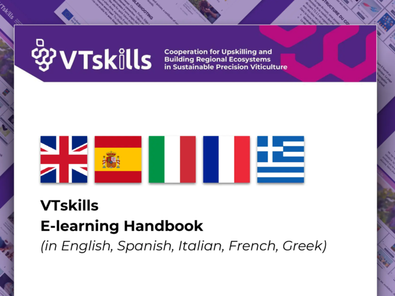 Manual de la plataforma de aprendizaje electrónico VTskills traducido a cinco idiomas