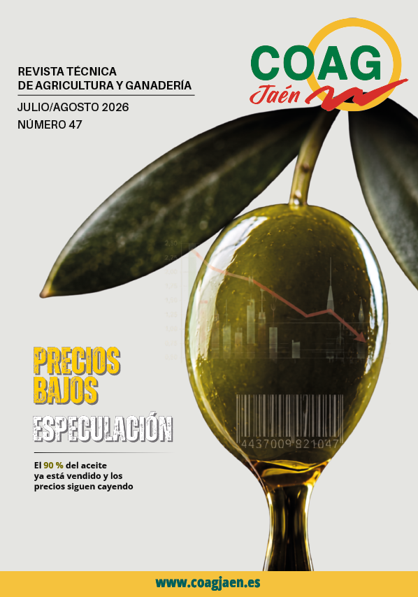 portada revista 46