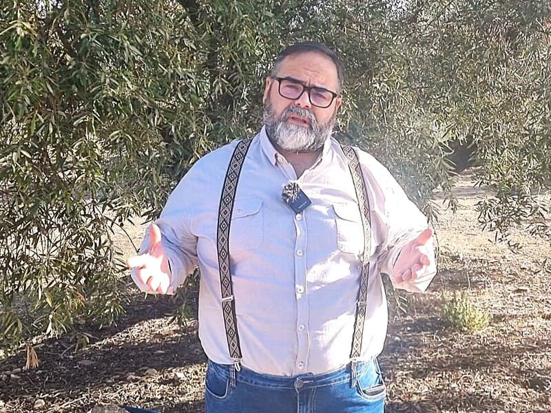 Contingente aceite tunecino