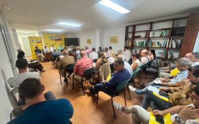 COAG Andalucía exige cumplir el acuerdo histórico del olivar ante una crisis de precios que aboca al abandono de explotaciones