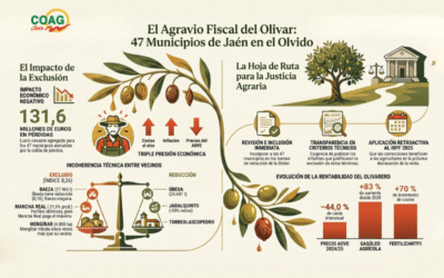 COAG Jaén justifica en un informe la necesidad de bajar los módulos del olivar y así lo traslada a las administraciones