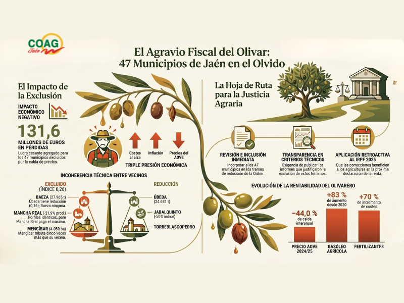 informe módulos olivar