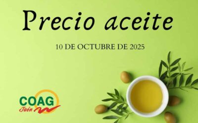 Precio medio del aceite de oliva a 10 de octubre