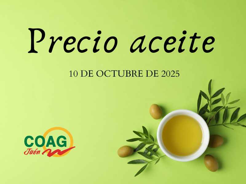 Precio medio del aceite de oliva a 10 de octubre