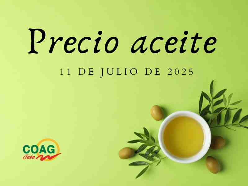 cartel PRECIO ACEITE 11 julio 2025