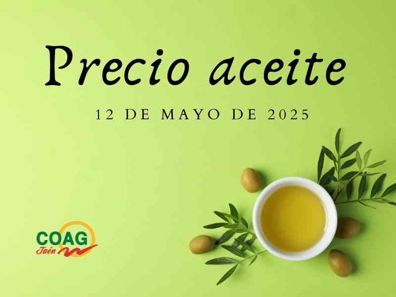 Precio medio del aceite de oliva a 12 de mayo