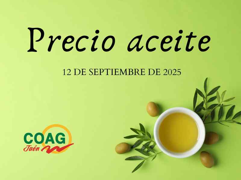 Precio medio del aceite de oliva a 12 de septiembre