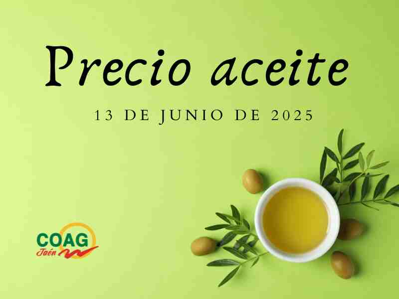 Precio medio del aceite de oliva a 13 de junio