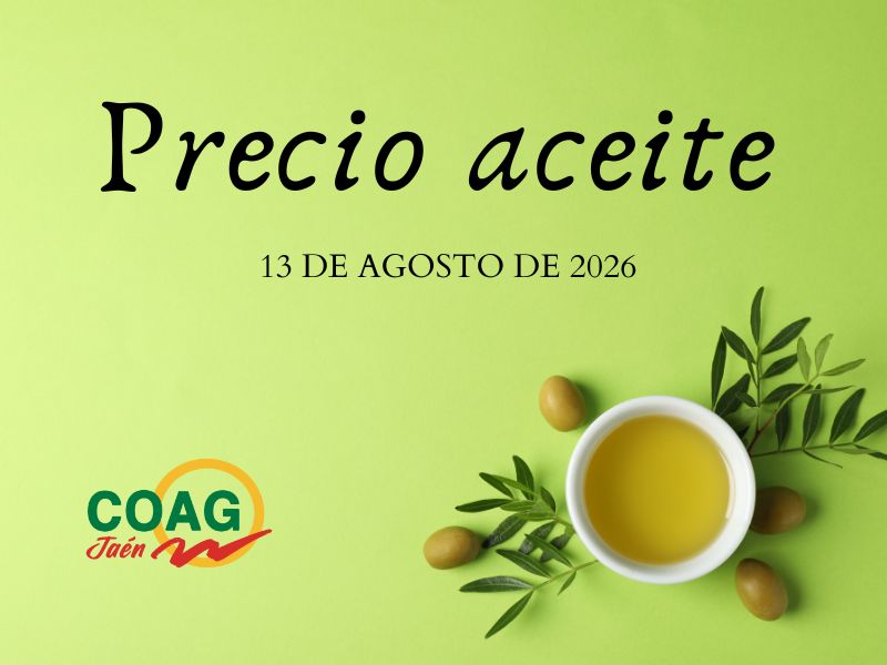 PRECIO ACEITE 13_AGOSTO_26