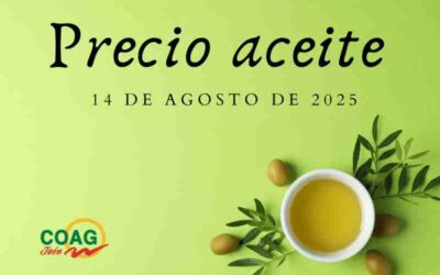 Precio medio del aceite de oliva a 14 de agosto