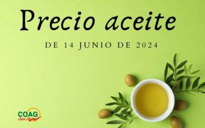 Precio medio del aceite de oliva a 14 de junio