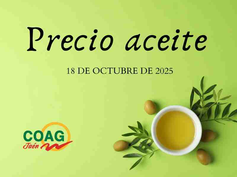 cartel PRECIO ACEITE 18 octubre 25