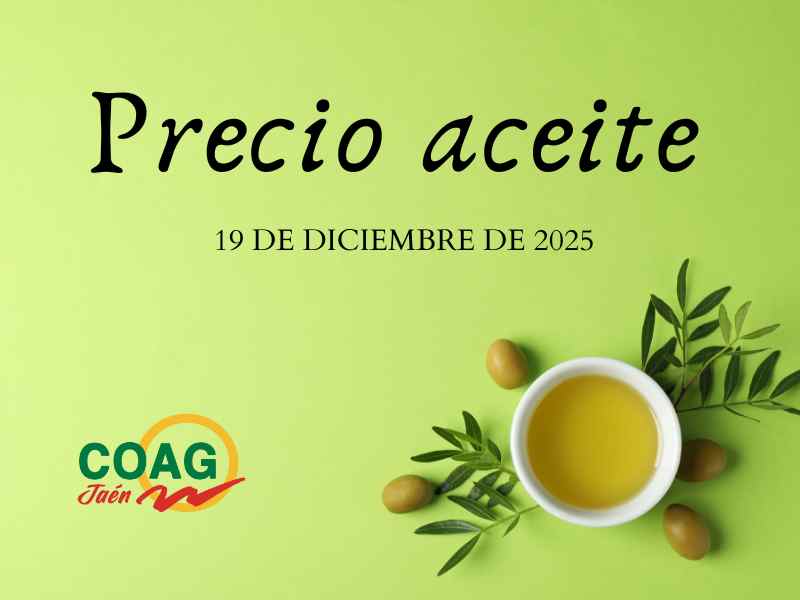 Precio medio del aceite de oliva a 19 de diciembre