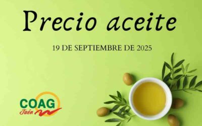 Precio medio del aceite de oliva a 19 de septiembre