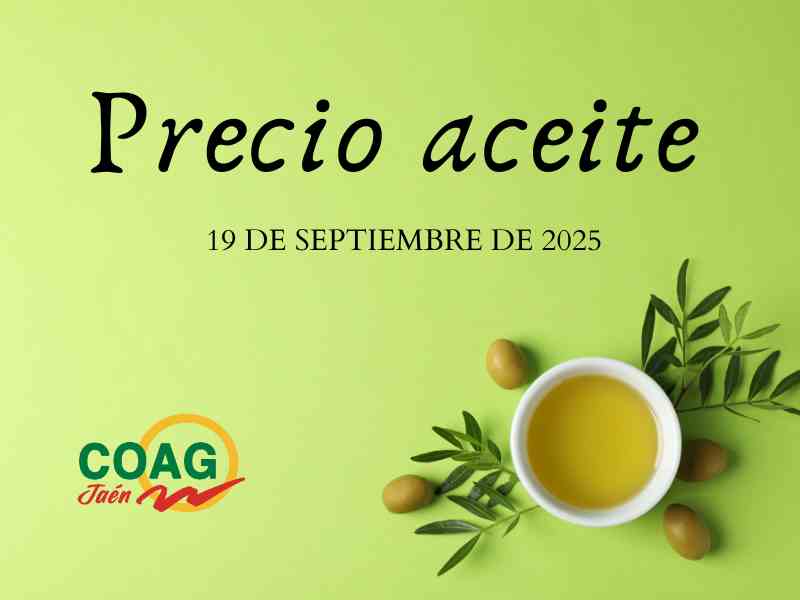 Precio medio del aceite de oliva a 19 de septiembre