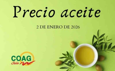 Precio medio del aceite de oliva a 2 de enero