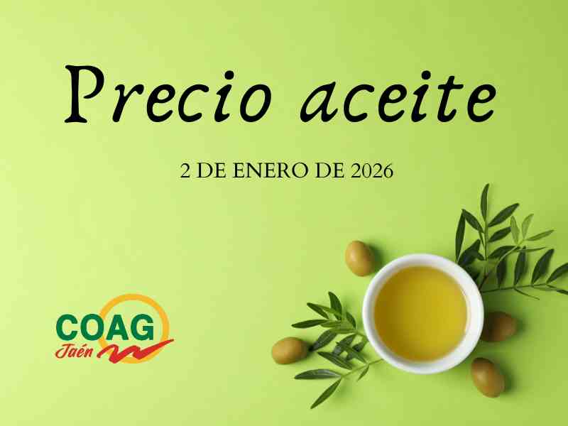 Precio medio del aceite de oliva a 2 de enero