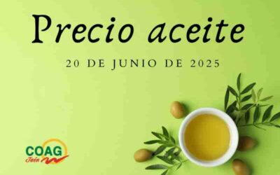 Precio medio del aceite de oliva a 20 de junio