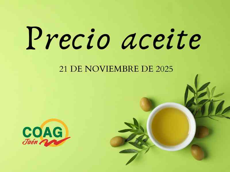 cartel precio aceite 21 noviembre