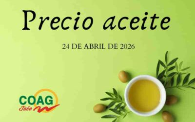 Precio medio del aceite de oliva a 24 de abril