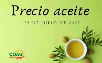 Precio medio del aceite de oliva a 25 de julio