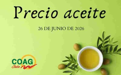Precio medio del aceite de oliva a 26 de junio
