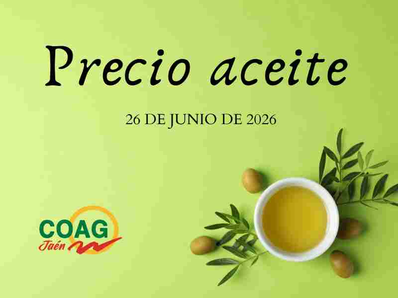 Precio medio del aceite de oliva a 26 de junio