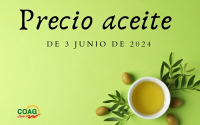 Precio medio del aceite de oliva a 3 de junio