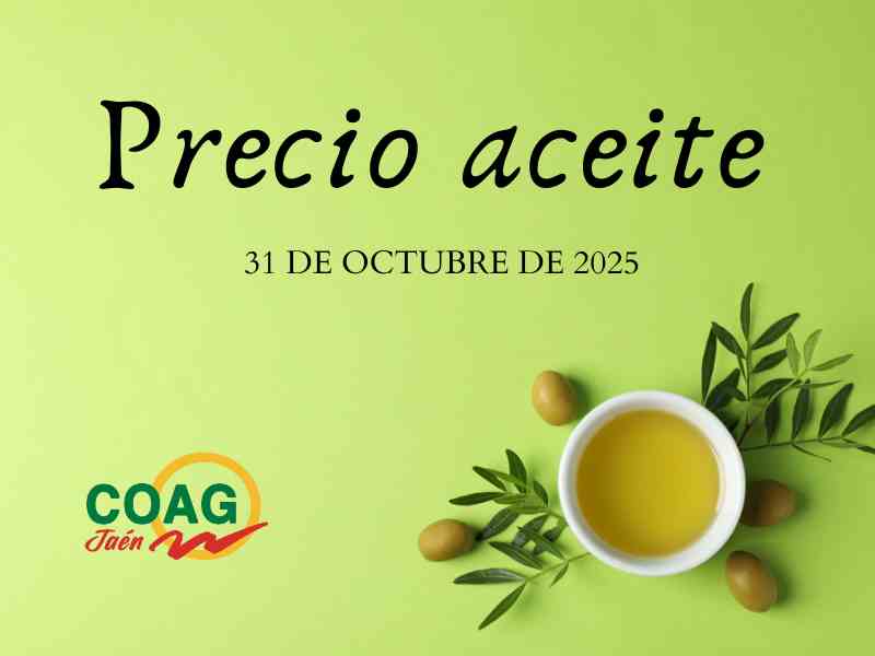 Precio medio del aceite de oliva a 31 de octubre
