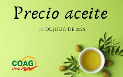 Precio medio del aceite de oliva a 31 de julio