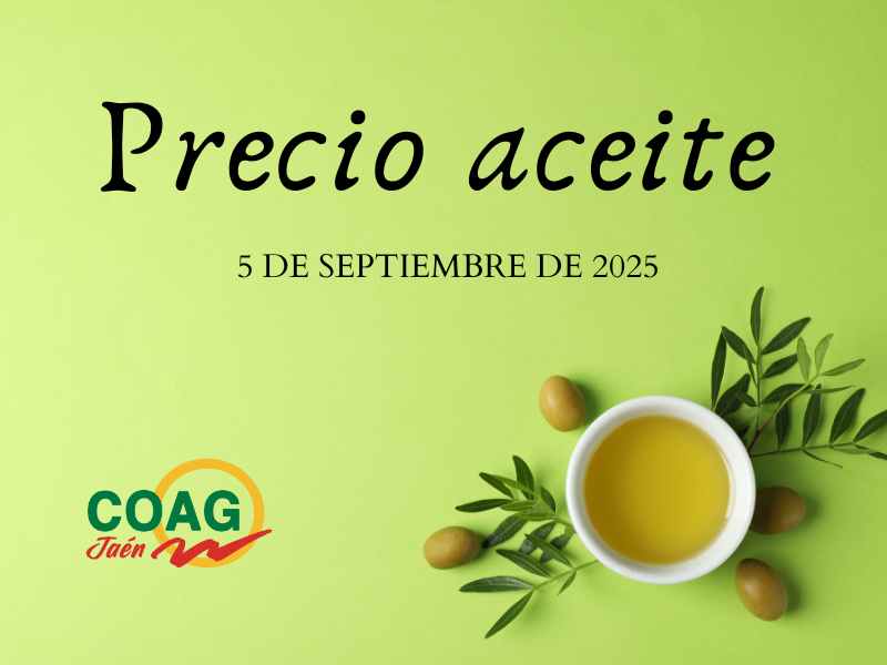 Precio medio del aceite de oliva a 5 de septiembre