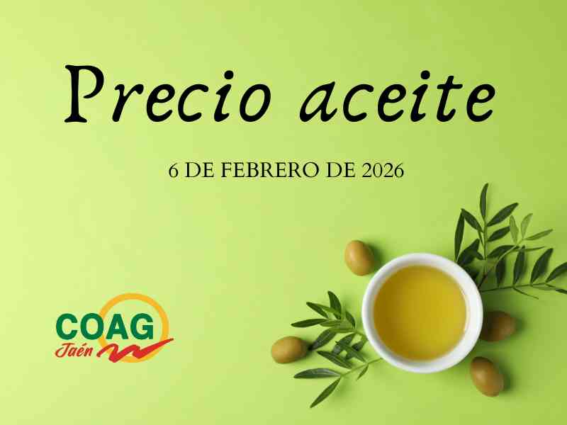 Precio medio del aceite de oliva a 6 de febrero