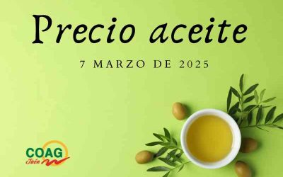 Precio medio del aceite de oliva a 7 de marzo
