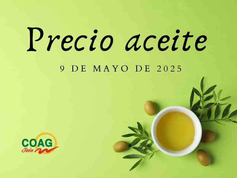 Precio medio del aceite de oliva a 9 de mayo