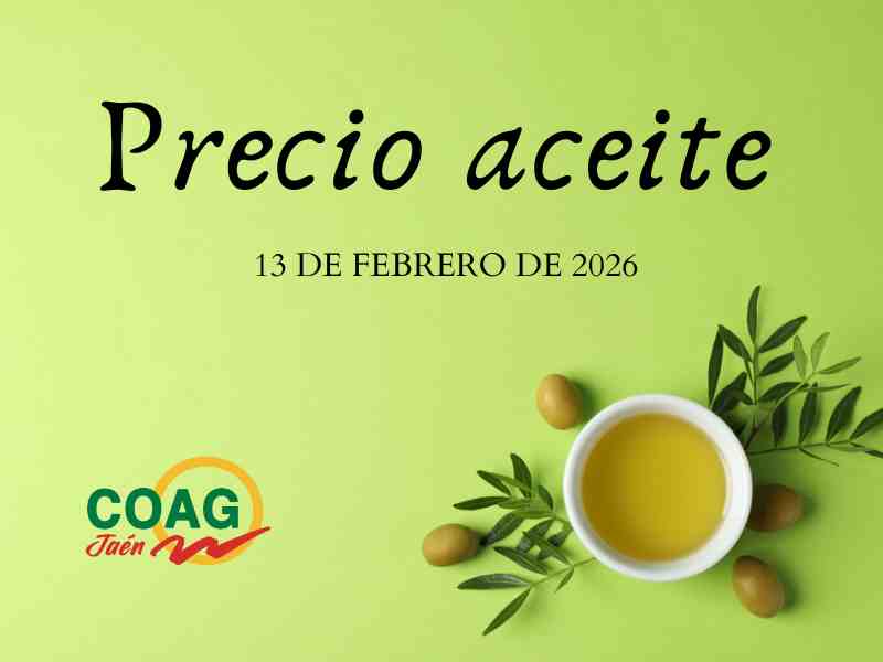 cartel precio aceite 13 febrero