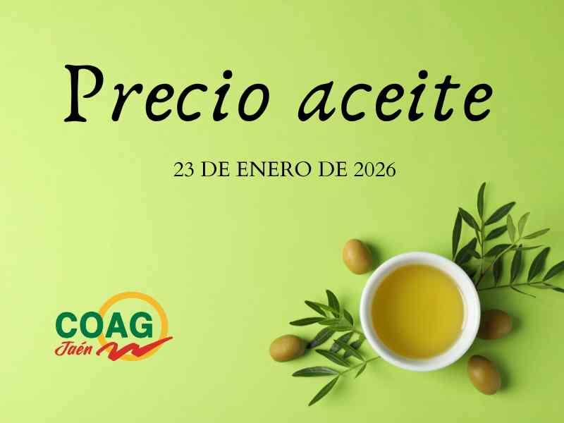 cartel precio aceite 23 enero